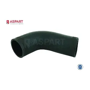 5HOS1361 ASPART