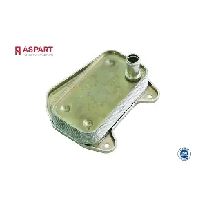 6OCO1107 ASPART