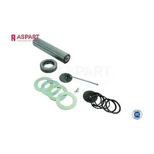 1RKI1041 ASPART