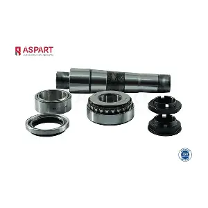 1RKI1028 ASPART