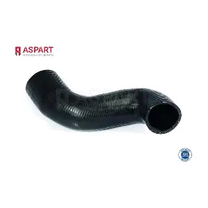 5HOS1307 ASPART