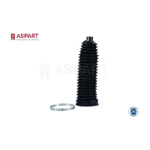 1RKI1079 ASPART