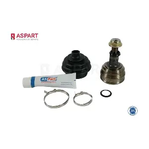 1JKD1022 ASPART