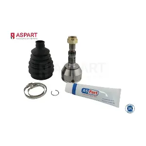 1JKD1009 ASPART