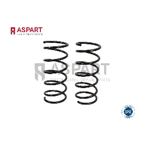 1CSP1130 ASPART