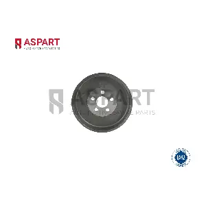 8WBP1005 ASPART