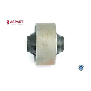 ASPART 1BUS1106