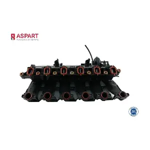 5IMA1011 ASPART
