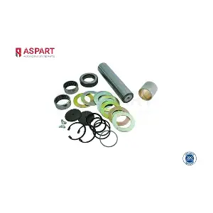 1RKI1072 ASPART