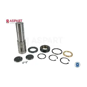 1RKI1056 ASPART
