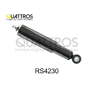 RS4230 DAVID VASCO