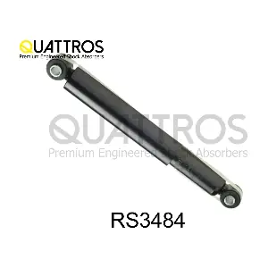 RS3484 DAVID VASCO