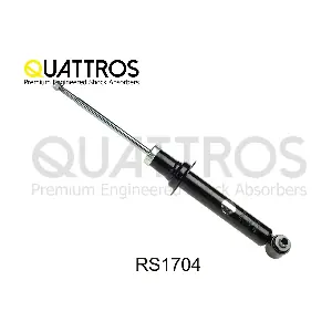 RS1704 DAVID VASCO