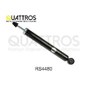 RS4480 DAVID VASCO