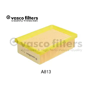 A813 DAVID VASCO