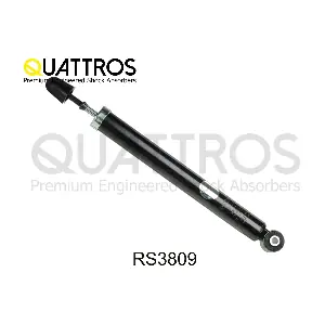 RS3809 DAVID VASCO