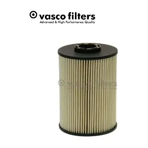 C337 DAVID VASCO