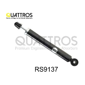 RS9137 DAVID VASCO