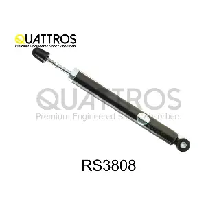 RS3808 DAVID VASCO