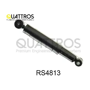 RS4813 DAVID VASCO