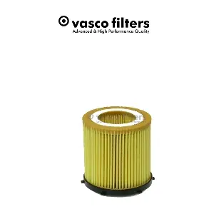 V022 DAVID VASCO