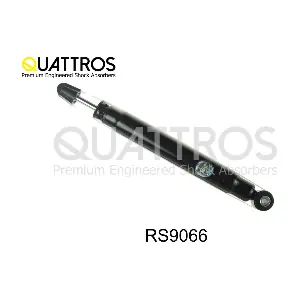 RS9066 DAVID VASCO