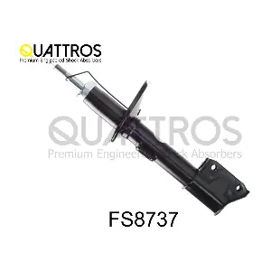 FS8737 DAVID VASCO