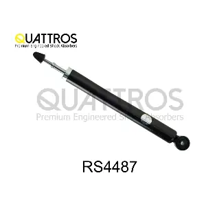 RS4487 DAVID VASCO