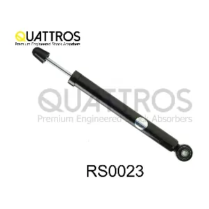 RS0023 DAVID VASCO