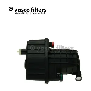 C317 DAVID VASCO