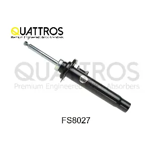 FS8027 DAVID VASCO