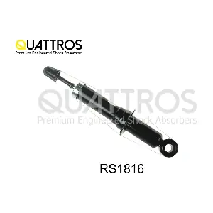 RS1816 DAVID VASCO