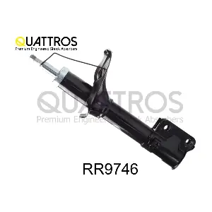 RR9746 DAVID VASCO