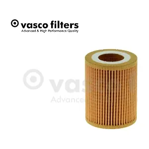 V016 DAVID VASCO