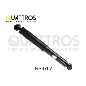 RS4707 DAVID VASCO