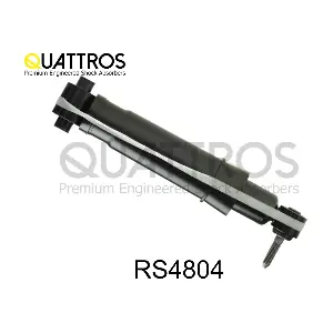 RS4804 DAVID VASCO
