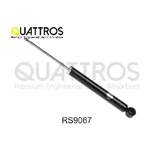 RS9067 DAVID VASCO