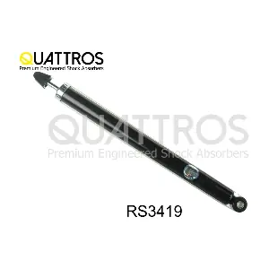 RS3419 DAVID VASCO