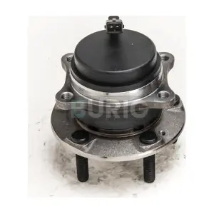 B100376 Burig
