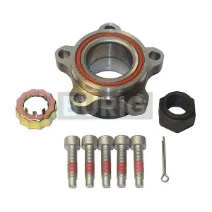 B100031 Burig