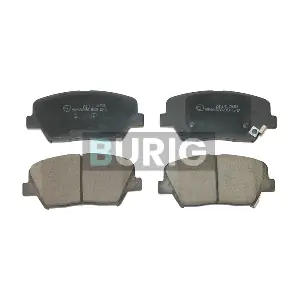 B020244 Burig
