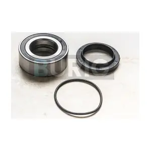 B100458 Burig