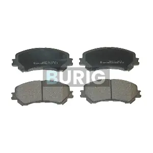 B020483 Burig