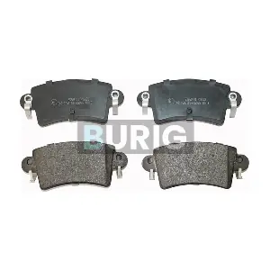 B020119 Burig