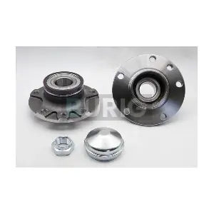 B100303 Burig