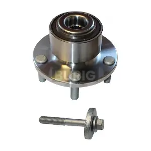 B100041 Burig