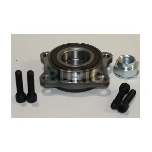 B100185 Burig