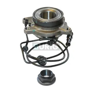 B100042 Burig