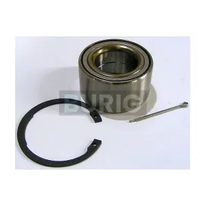 B100067 Burig