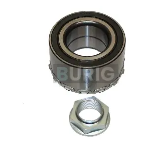 B100134 Burig